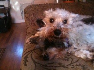 The lovely Cricket and Cappie, two terrific ladies