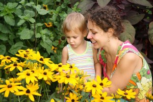 Find our what herbs for kids are best!