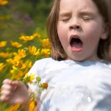 little girl sneeze Don't get the achoo blues! Check out these remedies for allergies.