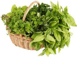 Celebrate HerbDay by cooking with herbs or learning more about their healing qualities.