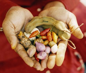 Turn the bounty of your garden into healing home remedies!