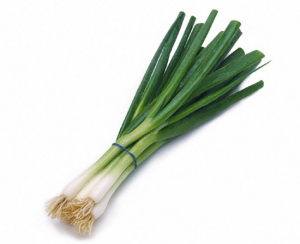 green-onion-bunch